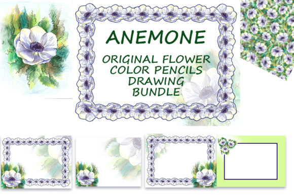 Anemone Flower Color Pencils Set: Creative Uses