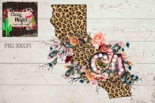 California CA Serape Leopard: Integrating High-Resolution Digital Assets into Creative Workflows