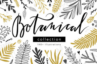 Elevating Your Visual Projects with a Versatile Botanical Collection
