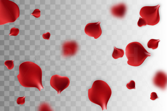 Falling Rose Petals on Transparent Back: A Practical Guide for Designers