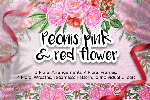 Peonies Pink and Red Flower Illustration: Elevating Modern Design with High-Resolution Botanical Art