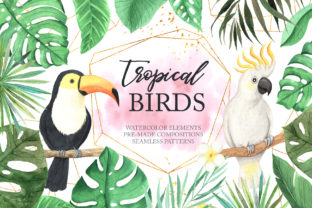 Watercolor Tropical Birds Set: Elevating Digital Design with Authentic Hand-Painted Art