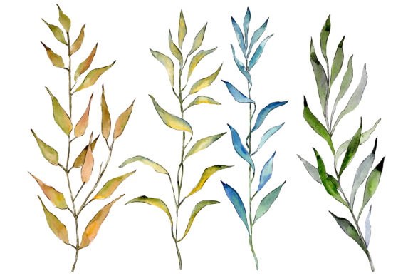 Willow Branches PNG Watercolor Set for Design